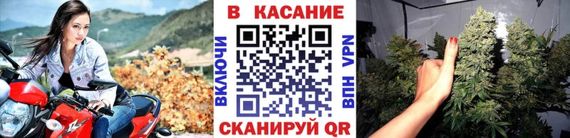 Купить наркотики Брянск МАРИХУАНА  Мефедрон  MEGA   ГАШИШ  COCAIN  A PVP 