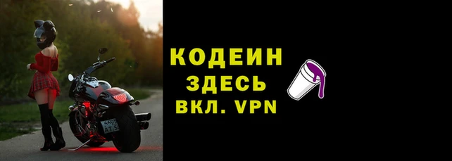 прущие грибы Абаза