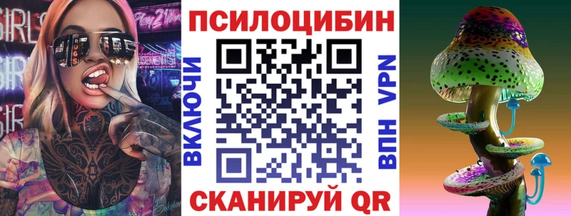 сколько стоит  Брянск  Псилоцибиновые грибы мицелий 